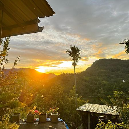 Rock View Cottage Ella Εξωτερικό φωτογραφία